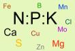 PLANT NUTRITION AND FERTILIZERS