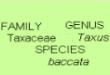 THE CLASSIFICATION AND NAMING OF PLANTS