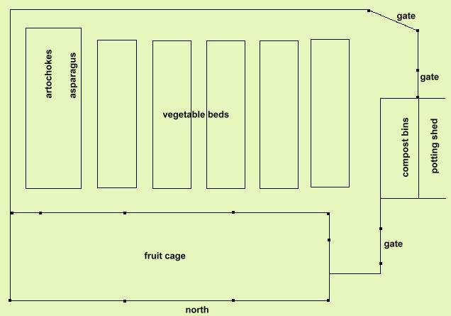 a diagram of the vegetable plot